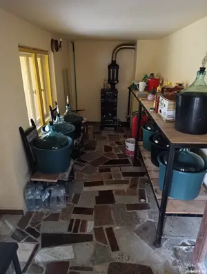 Casa situata in Alexandru cel Bun  - imagine 15