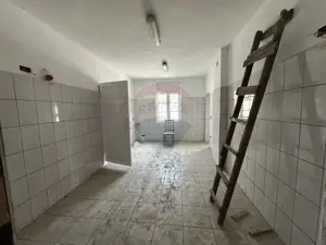 Monument Istoric Teatru langa Liceul Cuza - imagine 12