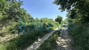 Teren de vânzare, Zona Ura, Bacău - imagine 6