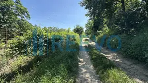 Teren de vânzare, Zona Ura, Bacău - imagine 5