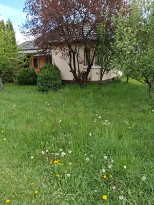 Casa de vanzare - municipiul Toplita, Judet Harghita