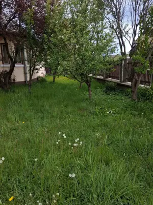 Casa de vanzare - municipiul Toplita, Judet Harghita - imagine 3