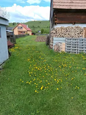 Casa de vanzare - municipiul Toplita, Judet Harghita - imagine 9