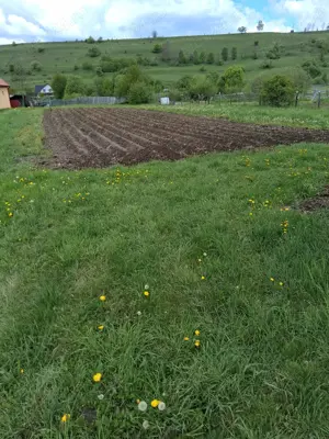 Casa de vanzare - municipiul Toplita, Judet Harghita - imagine 8