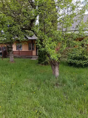 Casa de vanzare - municipiul Toplita, Judet Harghita - imagine 2