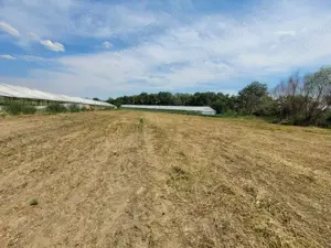 Teren de vanzare intravilan Umbraresti - imagine 5