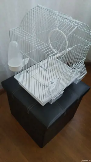 colivie 113 - imagine 3