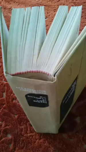 Dictionar al limbii romane - imagine 2