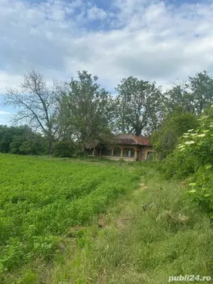 Teren de vanzare 15km Bucuresti  - imagine 5