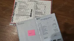 Scuter Electric Ecorider PRO, 25km h, 800W, baterii 20Ah 2024  - imagine 8