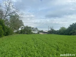 Teren de vanzare 15km Bucuresti  - imagine 6