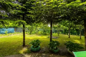 Vila 6 camere, de vanzare, Snagov - imagine 3