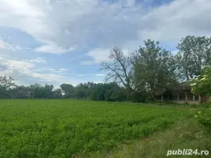 Teren de vanzare 15km Bucuresti  - imagine 8
