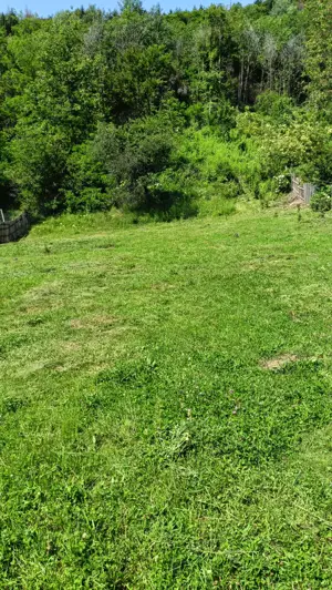 Teren intravilan zona deosebita  - imagine 9