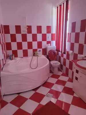 ViLA de LUX  cu un DESIGN deosebit in centrul orasului Nadlac - imagine 15