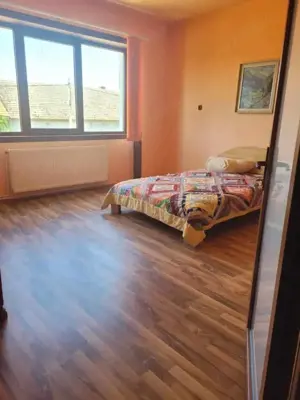 ViLA de LUX  cu un DESIGN deosebit in centrul orasului Nadlac - imagine 12