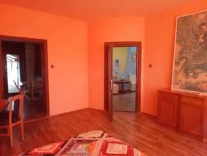 ViLA de LUX  cu un DESIGN deosebit in centrul orasului Nadlac - imagine 10