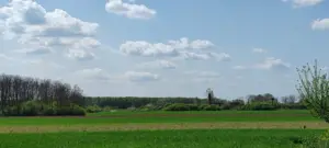 Casă și teren generos – sat Ciuhoi, comuna Săniob, județul Bihor - imagine 8