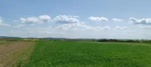 Casă și teren generos – sat Ciuhoi, comuna Săniob, județul Bihor - imagine 7