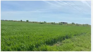 Achizitionez teren sau gradina