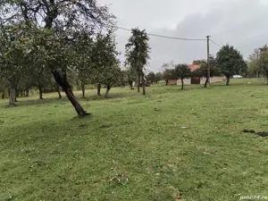 Teren Intravilan de Vânzare Sohodol, Bran | 13 300 mp - imagine 2