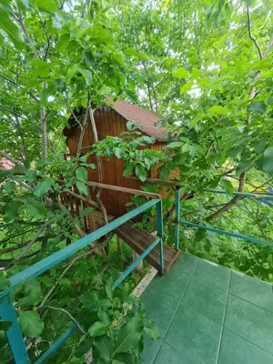  Vilă cu teren de 1800 mp. Buftea Central. Toate utilitățile! - imagine 6