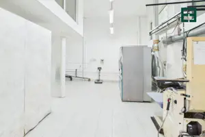 Spațiu comercial / industrial - 9 camere - Zona Elisabetin - Timișoara - imagine 5