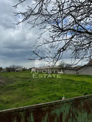 Teren intravilan 1000 mp in Dinias 20km de Timisoara - imagine 2