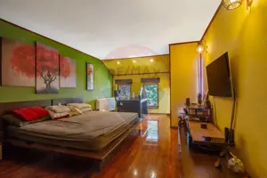 COMISION 0% | Casă spațioasă de vânzare în Calea Aradului - imagine 5