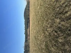 Teren intravilan de vanzare Savadisla - imagine 4