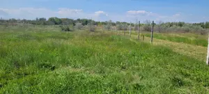 Vând teren extravilan în Năvodari