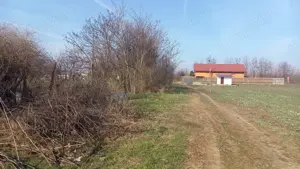 Teren intravilan Dârvari - imagine 4