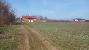 Teren intravilan Dârvari - imagine 2