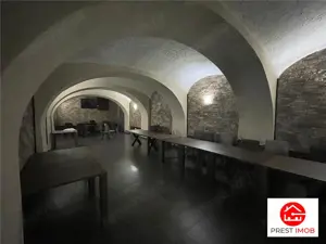 De vanzare spatiu comercial zona ultra centrala 277 mp - imagine 6