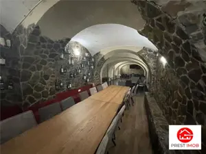 De vanzare spatiu comercial zona ultra centrala 277 mp - imagine 8