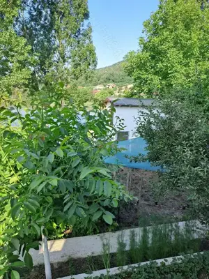 Vând casa  sau  schimb cu apartament situat în București - imagine 7