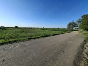 DÂRZA - TEREN INTRAVILAN - imagine 4