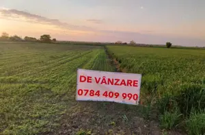 DÂRZA - TEREN INTRAVILAN