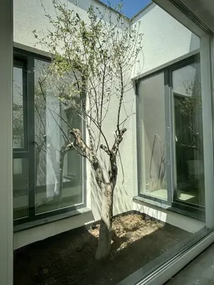 Proprietar!!!Duplex intabulat,cu 4 camere pe parter in Dumbravita,435 mp teren - imagine 6