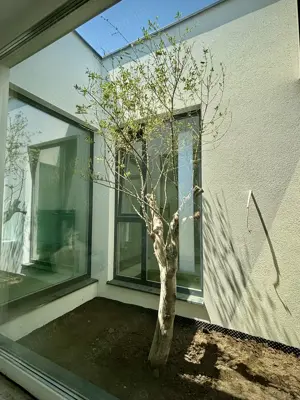 Proprietar!!!Duplex intabulat,cu 4 camere pe parter in Dumbravita,435 mp teren - imagine 7