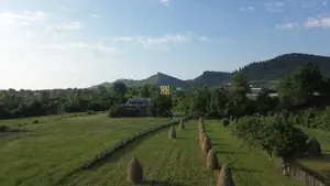 Teren 10304 mp – cu casa locuibila! In Bucovina, Zona Manastire Slatina! De vanzare! 0727817187 - imagine 2 Teren 10304 mp – cu casa locuibila! In Bucovina, Zona Manastire Slatina! De vanzare! 0727817187 - imagine 2