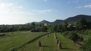 Teren 10304 mp – cu casa locuibila! In Bucovina, Zona Manastire Slatina! De vanzare! 0727817187 - imagine 7 Teren 10304 mp – cu casa locuibila! In Bucovina, Zona Manastire Slatina! De vanzare! 0727817187 - imagine 7