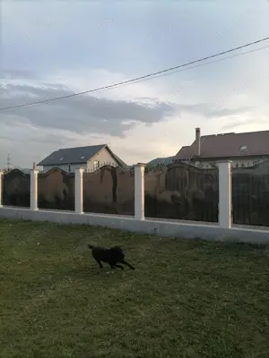 Vila noua (2023) P+M zona 1 Mai - imagine 3