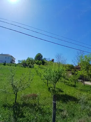 Vand teren 1000mp Aghireşu-Fabrici  - imagine 4