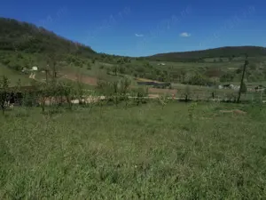 Vand teren 1000mp Aghireşu-Fabrici  - imagine 9