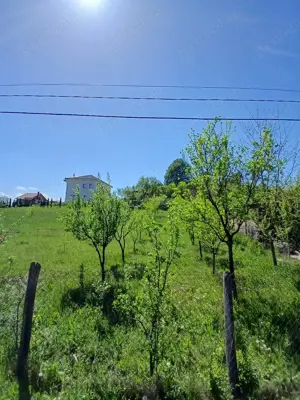 Vand teren 1000mp Aghireşu-Fabrici  - imagine 6