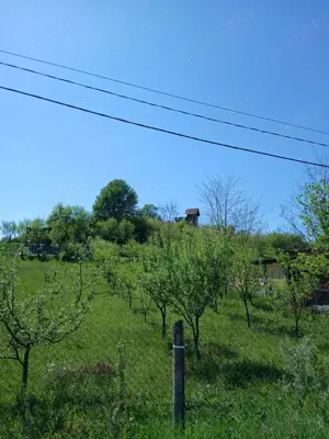 Vand teren 1000mp Aghireşu-Fabrici  - imagine 8