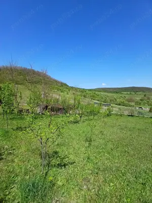 Vand teren 1000mp Aghireşu-Fabrici  - imagine 7