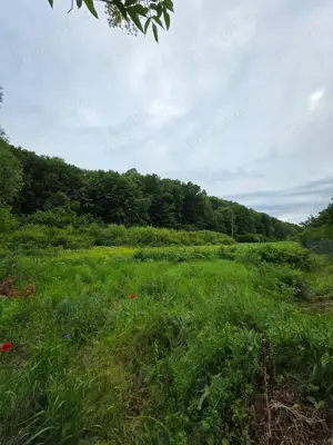 Vând teren Uiasca -2km Auchan Găvana  - imagine 4