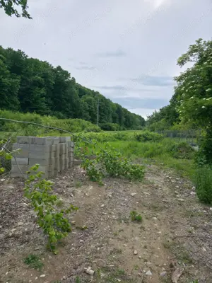 Vând teren Uiasca -2km Auchan Găvana  - imagine 3